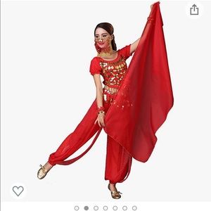 Belly Dancer Costume - Disney Aladdin / Jasmine Family Costume - Red